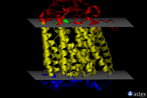 Membrane view of 1xme