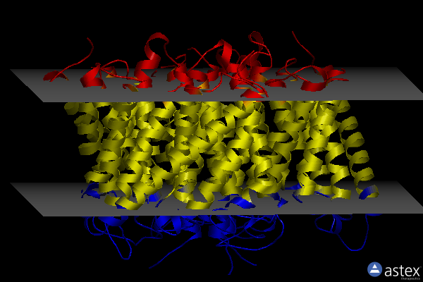 Membrane view of 1xqf