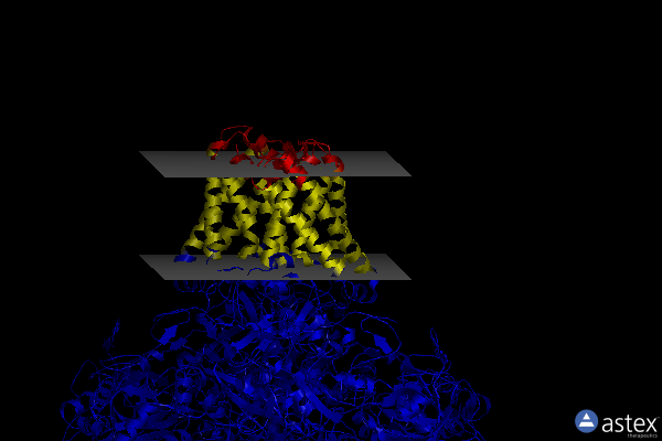 Membrane view of 1y5i