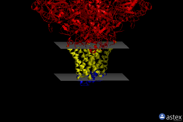 Membrane view of 1y5l