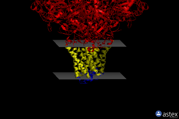 Membrane view of 1y5n