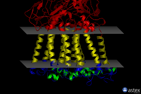 Membrane view of 1yf6