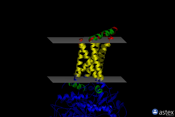 Membrane view of 1yq4