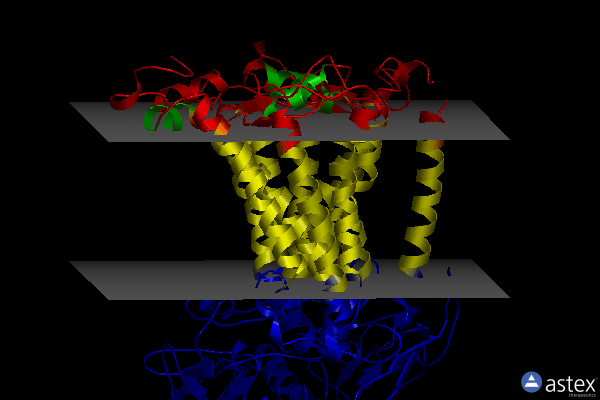 Membrane view of 1z9j