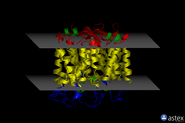 Membrane view of 1zcd