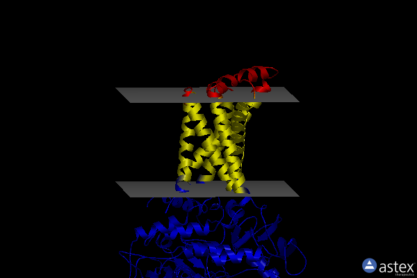 Membrane view of 1zoy