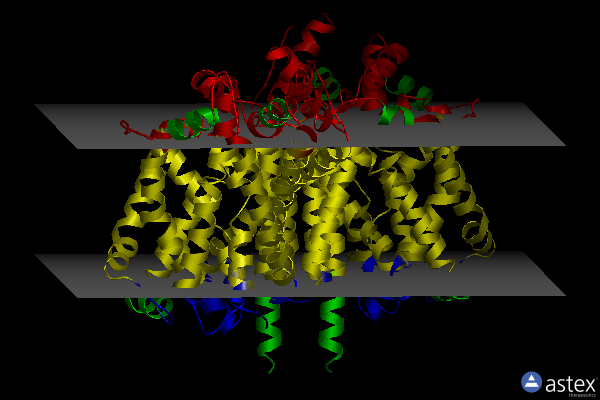 Membrane view of 2a65