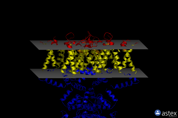 Membrane view of 2a79