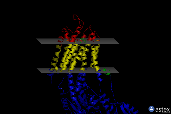 Membrane view of 2agv