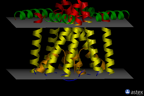Membrane view of 2ahy