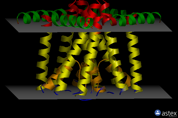Membrane view of 2ahz