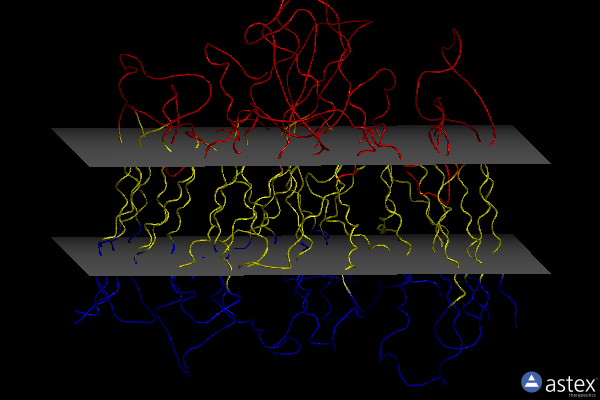 Membrane view of 2aki