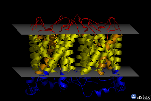 Membrane view of 2b6o