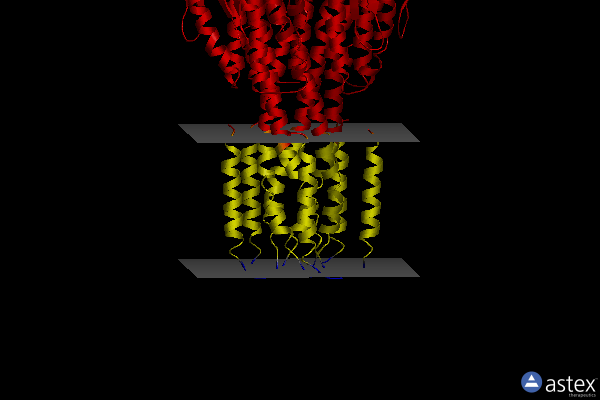 Membrane view of 2bbj