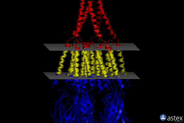 Membrane view of 2bg9