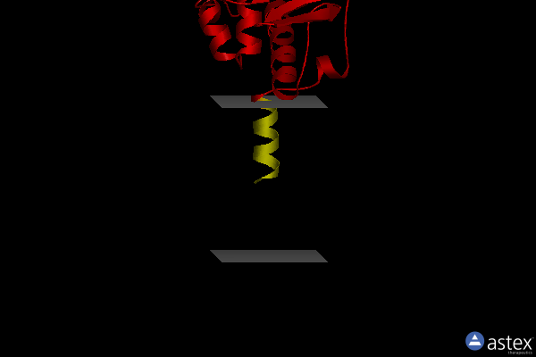 Membrane view of 2bk5