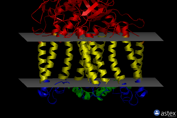 Membrane view of 2bns