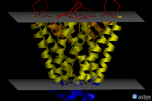 Membrane view of 2bob