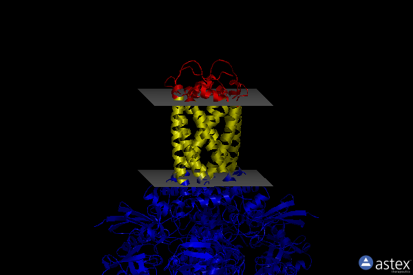 Membrane view of 2bs2