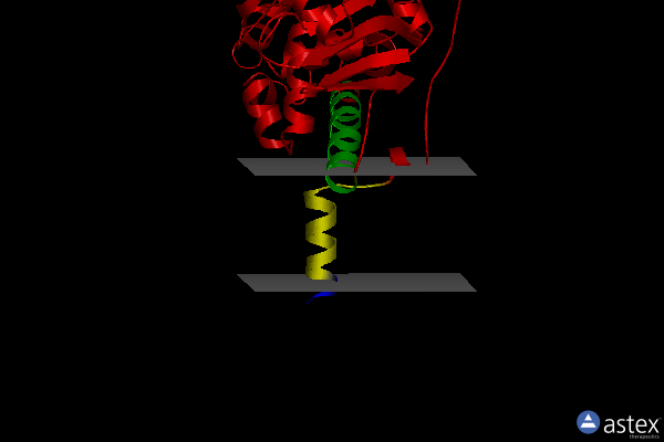 Membrane view of 2c65