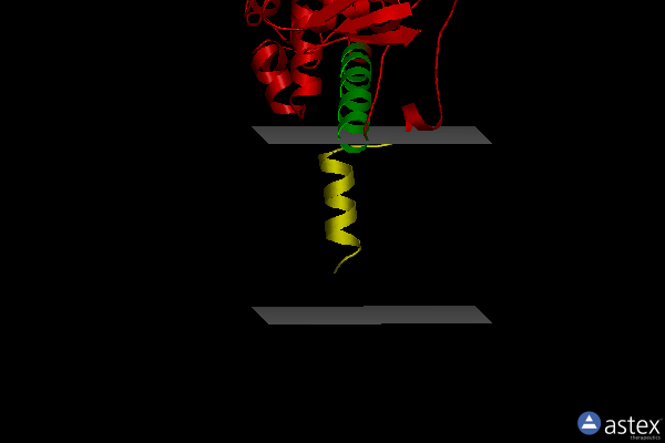 Membrane view of 2c66