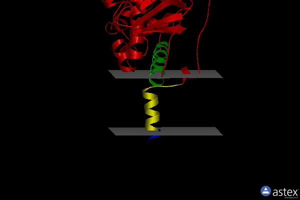 Membrane view of 2c67