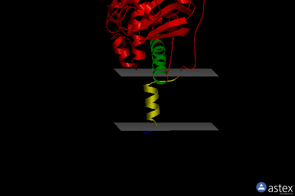 Membrane view of 2c73