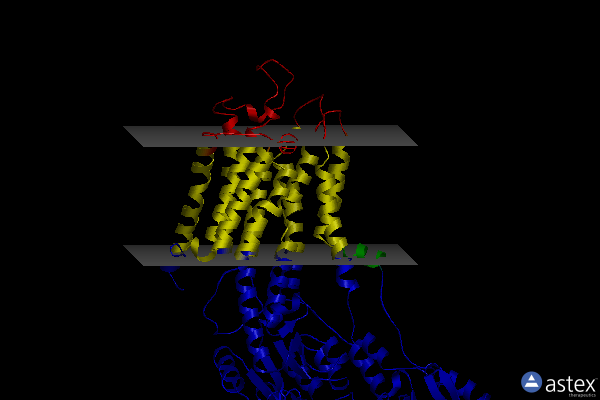 Membrane view of 2c8k