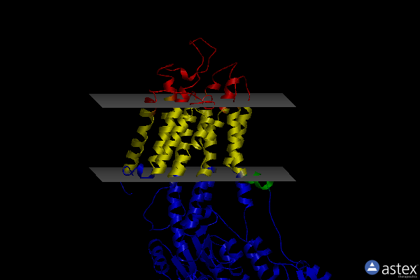 Membrane view of 2c8l
