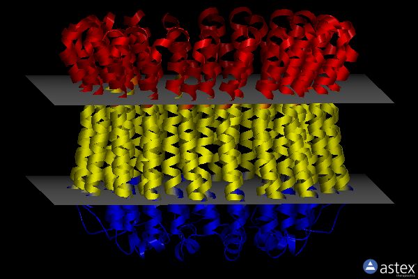 Membrane view of 2cyd