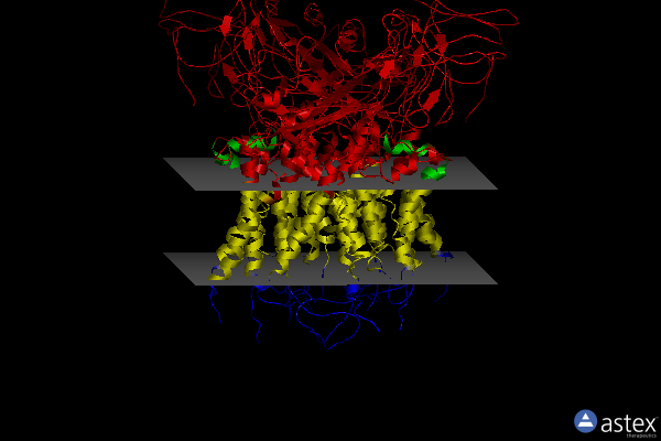 Membrane view of 2d2c