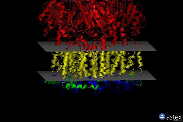 Membrane view of 2dr6