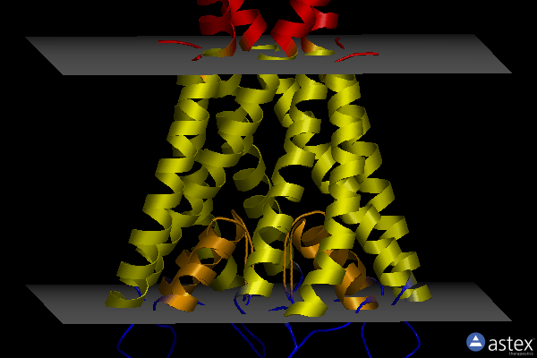 Membrane view of 2dwd