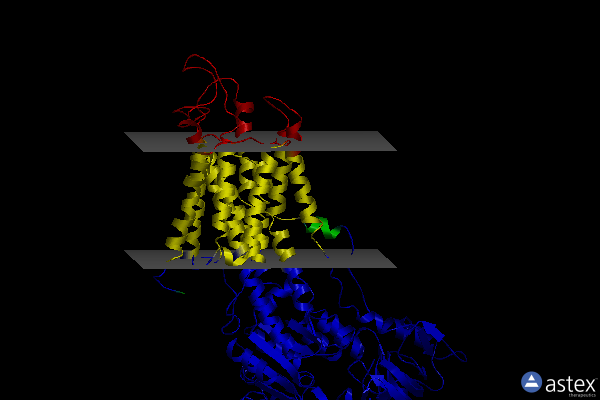 Membrane view of 2eat