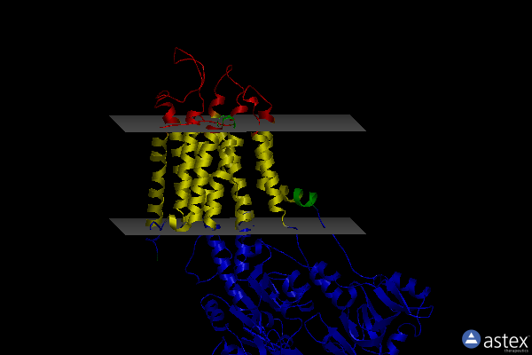 Membrane view of 2eau