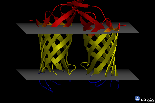 Membrane view of 2erv