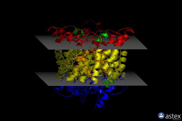 Membrane view of 2exy