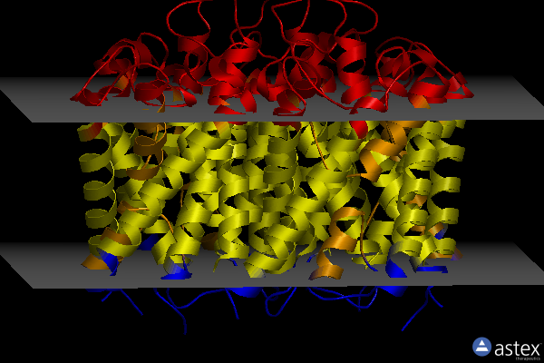 Membrane view of 2f2b