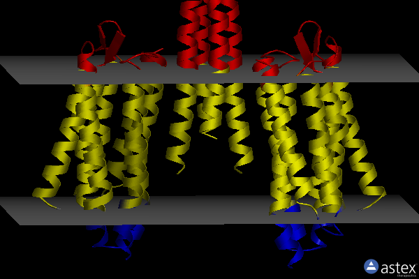 Membrane view of 2f93