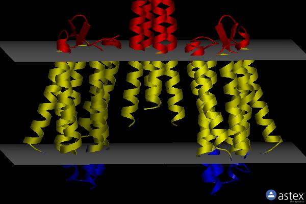 Membrane view of 2f95