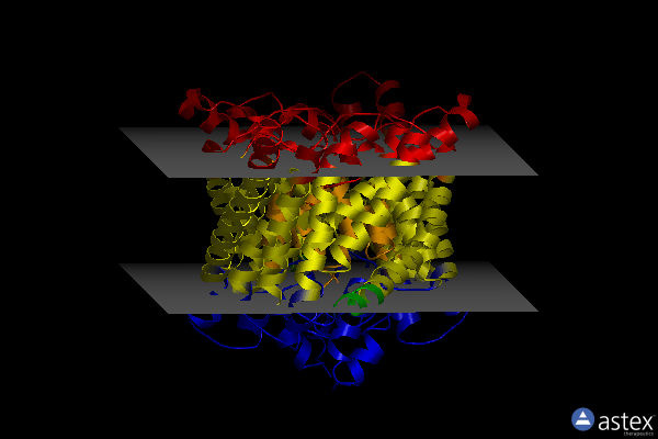 Membrane view of 2fec