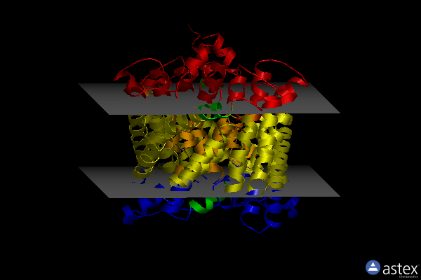 Membrane view of 2fed