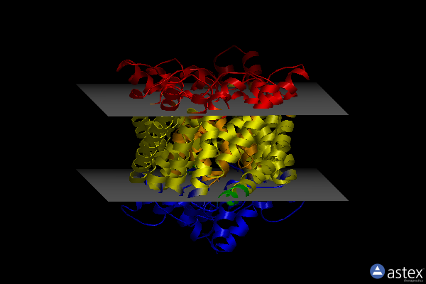 Membrane view of 2fee