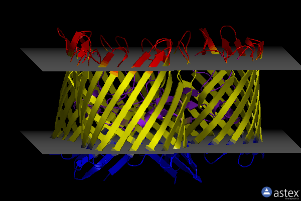 Membrane view of 2fgr