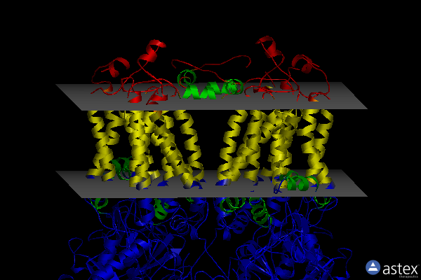 Membrane view of 2fyn