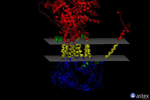 Membrane view of 2fyu