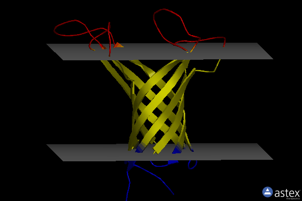 Membrane view of 2ge4