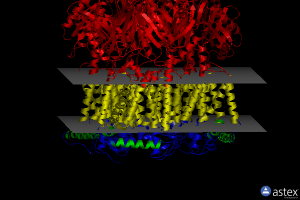 Membrane view of 2gif