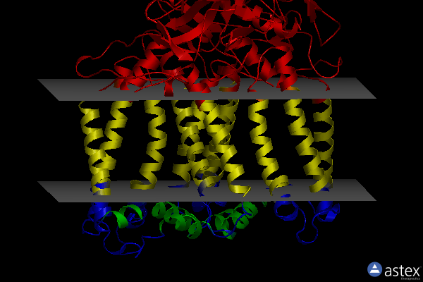 Membrane view of 2gnu