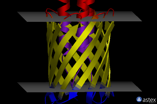 Membrane view of 2gr8